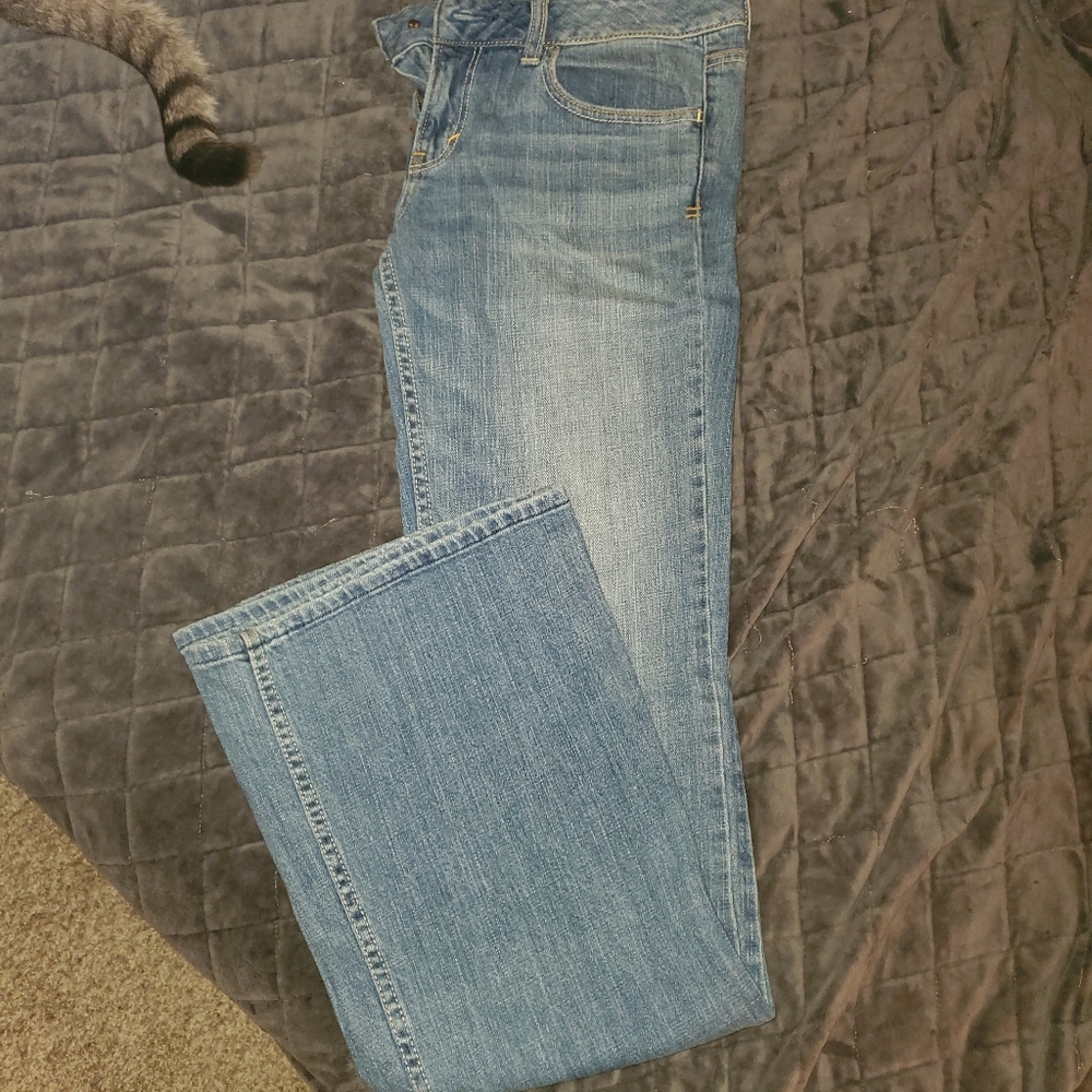 American Eagle Hipster Flares